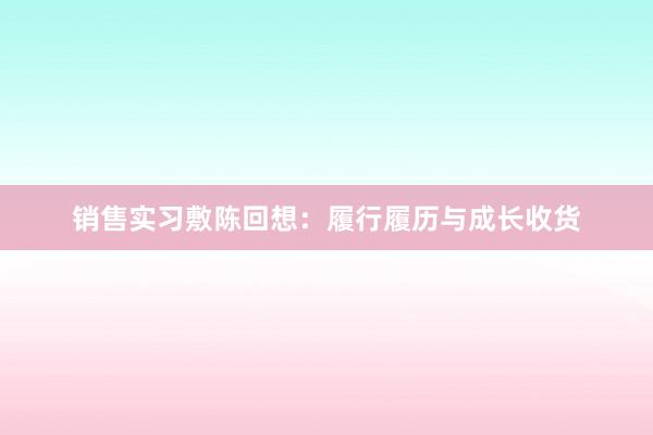 销售实习敷陈回想：履行履历与成长收货